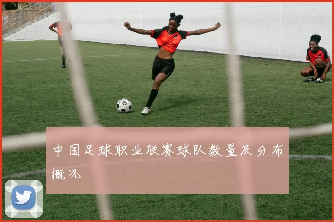 中国足球职业联赛球队数量及分布概况