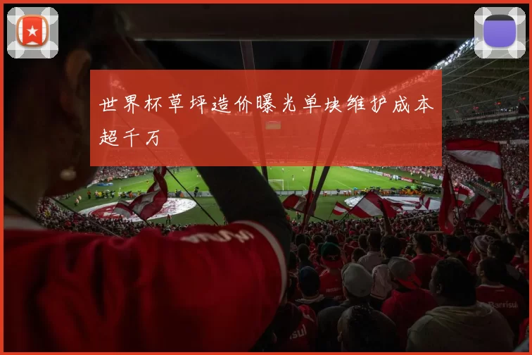 世界杯草坪造价曝光单块维护成本超千万