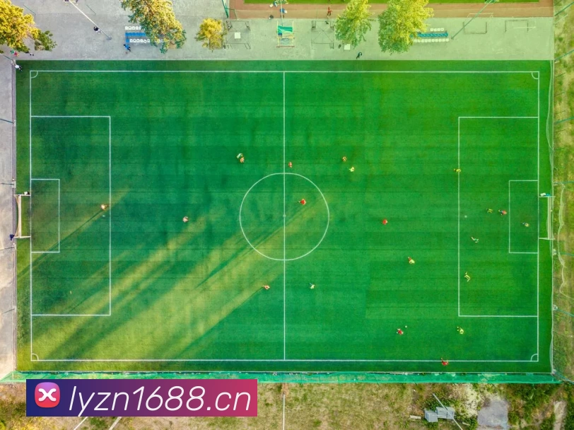 新闻中心 - 九游会真人官网平台生态图